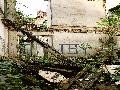 D7K_2009